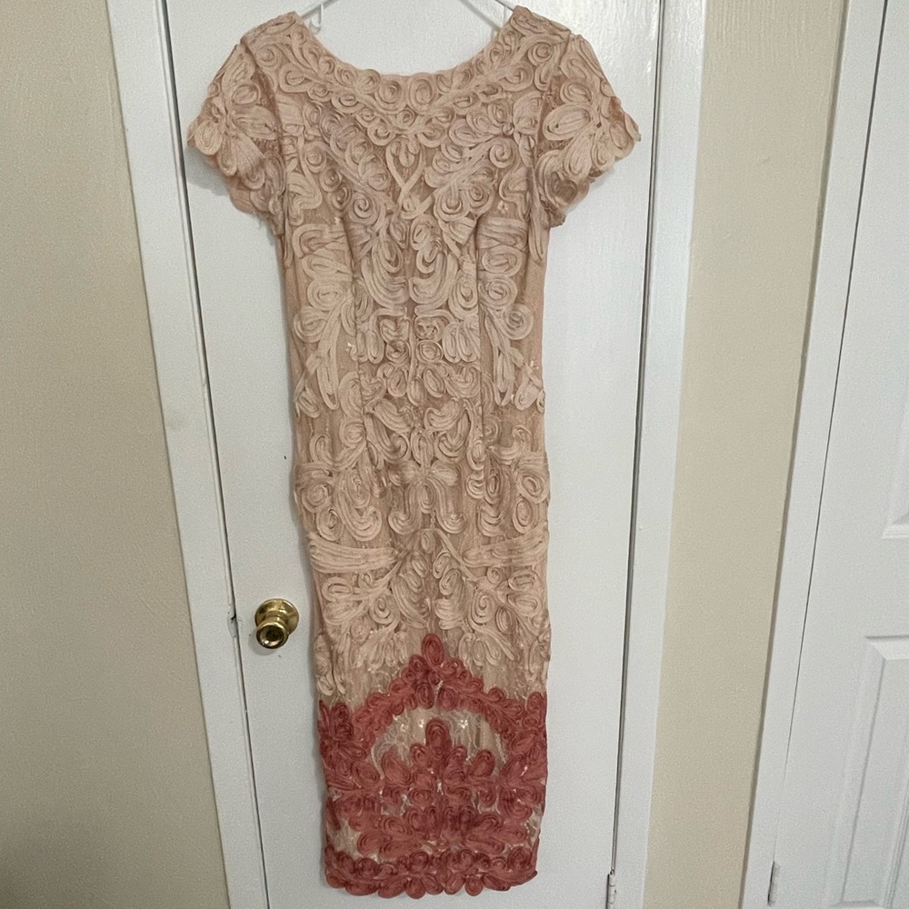 Lace and Embroidery Dress